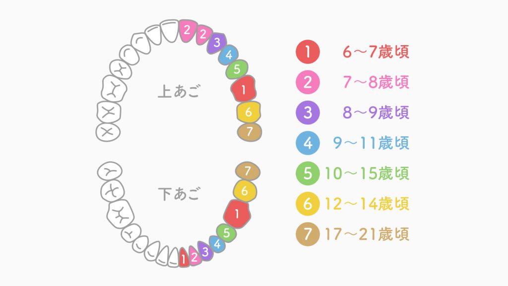 歯が生えることと睡眠